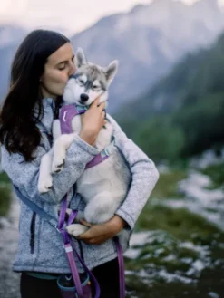 Harnais pour chien Alpha 360 - Mauve Mix - Woolly Wolf