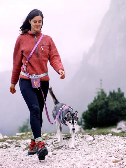 Harnais pour chien Alpha 360 - Mauve Mix - Woolly Wolf