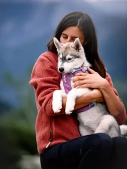 Harnais pour chien Alpha 360 - Mauve Mix - Woolly Wolf