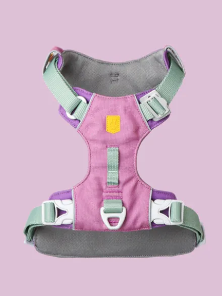 Harnais pour chien Alpha 360 - Mauve Mix - Woolly Wolf