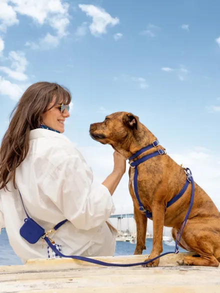 Harnais pour chien Cloud Lite - Bleu nuit - Shop Sunny Tails