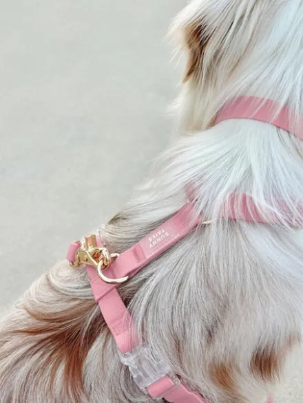 Harnais pour chien Cloud Lite - Rose Parfait - Shop Sunny Tails