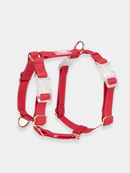 Harnais pour chien Cloud Lite - Cherry - Shop Sunny Tails