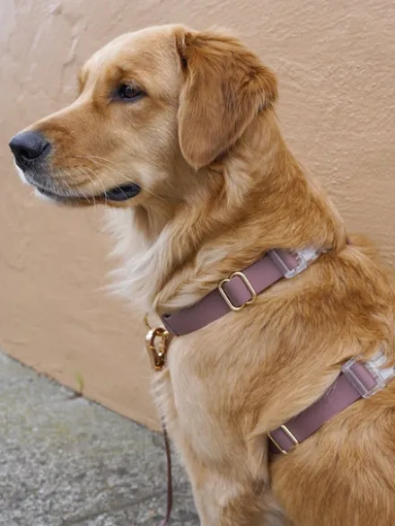 Harnais pour chien Cloud Lite - Espresso - Shop Sunny Tails