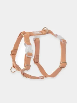 Harnais pour chien Cloud Lite - Chai - Shop Sunny Tails