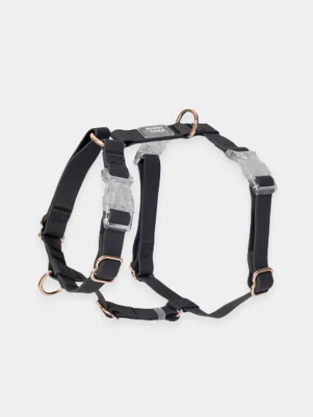 Harnais pour chien Cloud Lite - Noir - Shop Sunny Tails