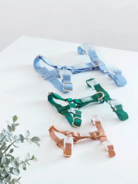 Harnais pour chien Cloud Lite - Bleu pastel - Shop Sunny Tails