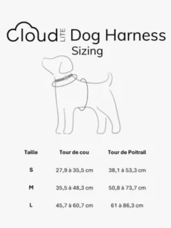 Harnais pour chien Cloud Lite - Bleu pastel - Shop Sunny Tails