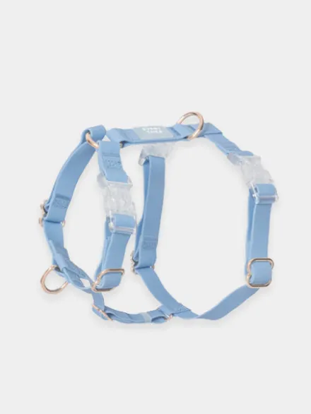 Harnais pour chien Cloud Lite - Bleu pastel - Shop Sunny Tails