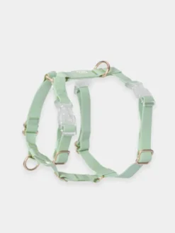 Harnais pour chien Cloud Lite - Pistache - Shop Sunny Tails