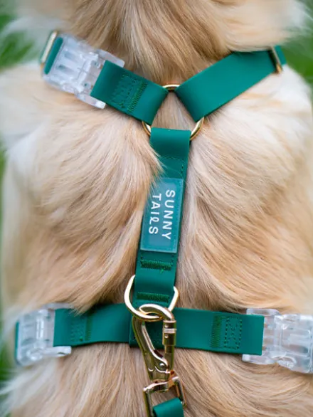 Harnais pour chien Cloud Lite - Vert forêt - Shop Sunny Tails