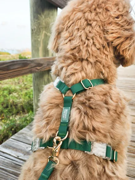 Harnais pour chien Cloud Lite - Vert forêt - Shop Sunny Tails