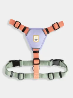 Harnais pour chien - Color Block Salmon Pink - Woolly Wolf