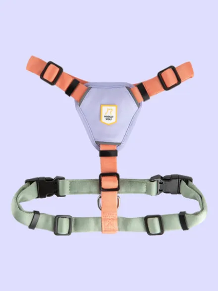 Harnais pour chien - Color Block Salmon Pink - Woolly Wolf