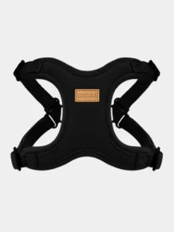 Harnais pour chien Confort Charlie's Backyard - Noir