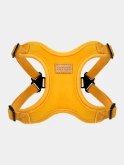 Harnais pour chien Confort Charlie's Backyard - Jaune