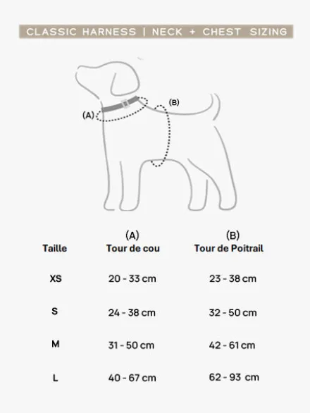 Harnais pour chien - Desert Dawn - Bop Pop Pets
