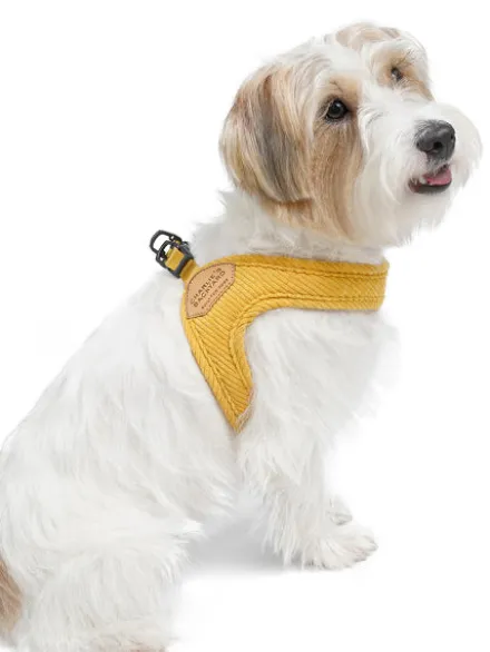 Harnais pour chien à enfiler par les pattes - Roy - Jaune
