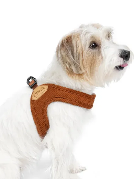 Harnais pour chien à enfiler par les pattes - Roy - Caramel