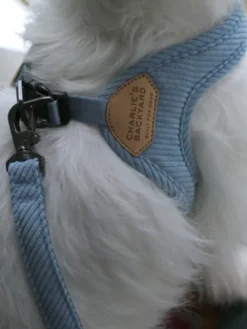 Harnais pour chien à enfiler par les pattes - Roy - Baby blue