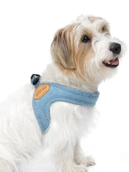 Harnais pour chien à enfiler par les pattes - Roy - Baby blue
