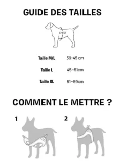 Harnais pour chien à enfiler par les pattes - Roy - Baby blue