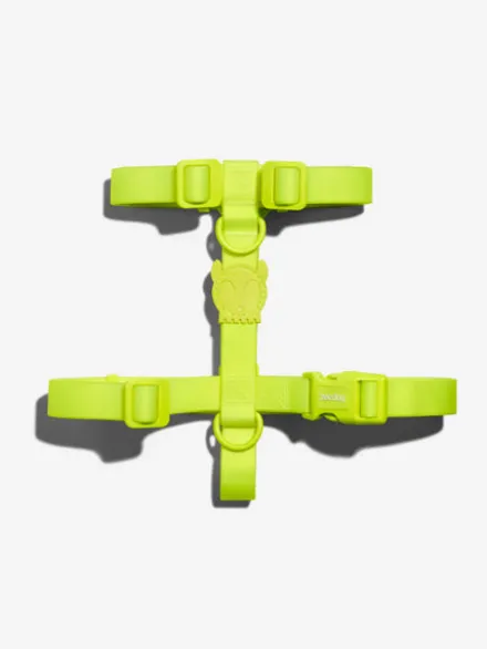 Harnais pour chien en néoprène - Neopro Lime - Zee.Dog