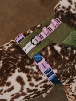 Harnais pour chien en Y - Trekk - Reebok x Zee.dog
