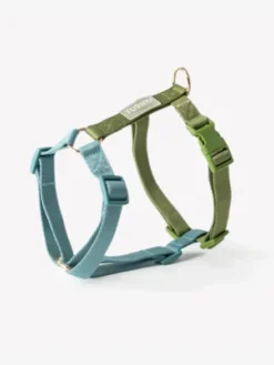 Harnais pour chien - Lake Day - Furlou