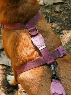 Harnais pour chien - Naturals Hibiscus - Zee.Dog