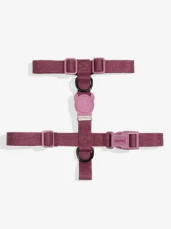 Harnais pour chien - Naturals Hibiscus - Zee.Dog