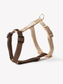 Harnais pour chien - Puppaccino - Furlou