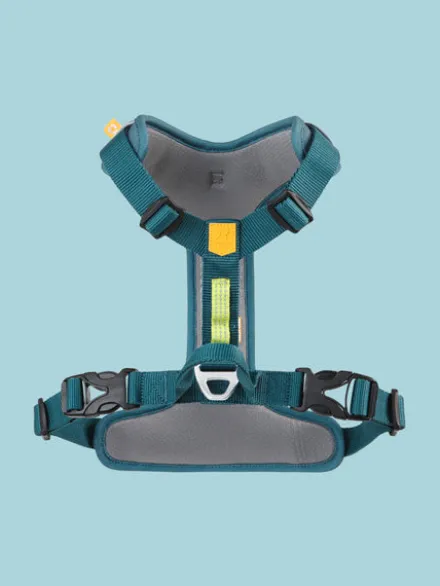 Harnais pour chien Roam Harness - Deep teal - Woolly Wolf