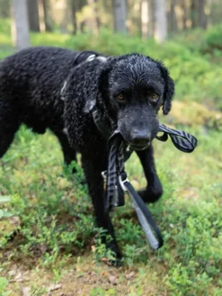 Harnais pour chien Roam Harness - Black Ripple - Woolly Wolf