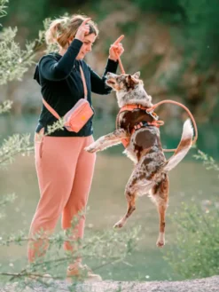 Harnais pour chien Roam Harness - Salmon Pink - Woolly Wolf