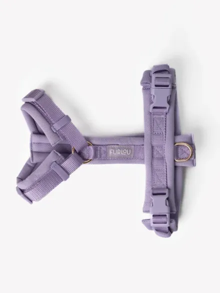 Harnais pour chien ultra léger Comfort - Lavande - Furlou