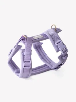 Harnais pour chien ultra léger Comfort - Lavande - Furlou