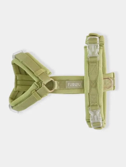 Harnais pour chien ultra léger Comfort - Lime - Furlou