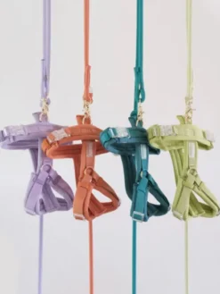 Harnais pour chien ultra léger Comfort - Lime - Furlou