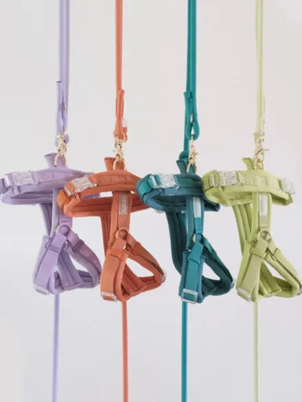 Harnais pour chien ultra léger Comfort - Lime - Furlou