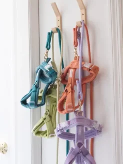 Harnais pour chien ultra léger Comfort - Lime - Furlou