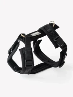 Harnais pour chien ultra léger Comfort - Noir - Furlou
