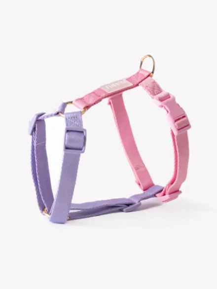 Harnais pour chien - Unicorn - Furlou