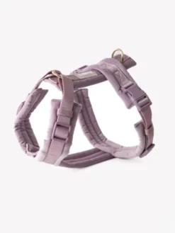 Harnais pour chien - Velvet Harness - Lilac (Violet) - Furlou