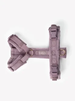 Harnais pour chien - Velvet Harness - Lilac (Violet) - Furlou