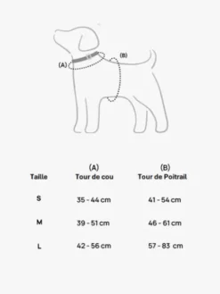 Harnais pour chien - Zoe - Bop Pop Pets