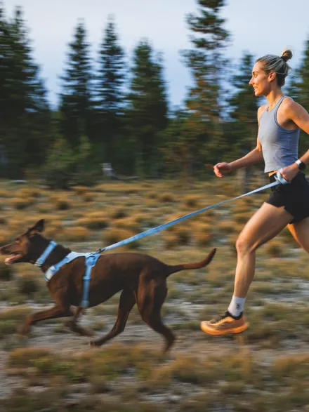 Harnais ruffwear - Front Range Flex Harness - Bleu polaire