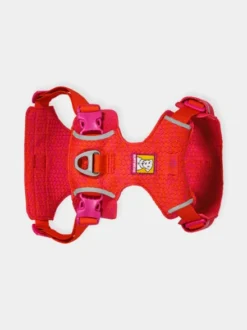 Harnais ruffwear - Front Range Flex Harness - Rose-Violet