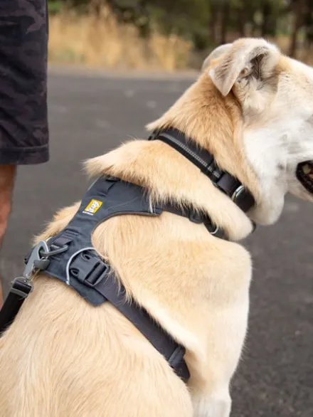Harnais ruffwear - Front Range - Basalt Gray
