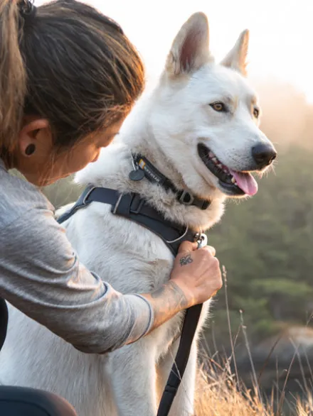 Harnais ruffwear - Front Range - Basalt Gray